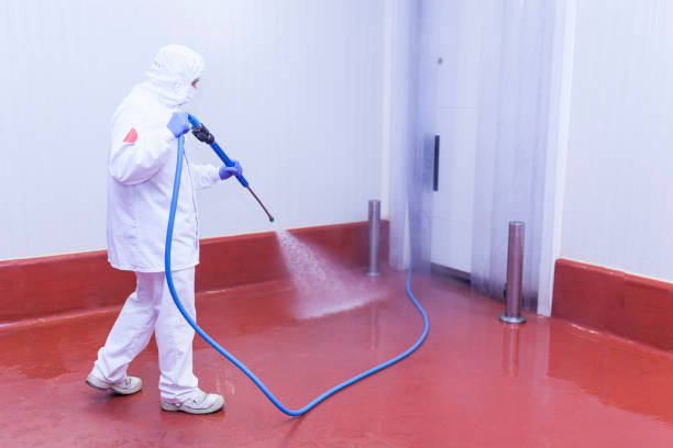 Professional Pressure Washing Services in Roanoke, AL