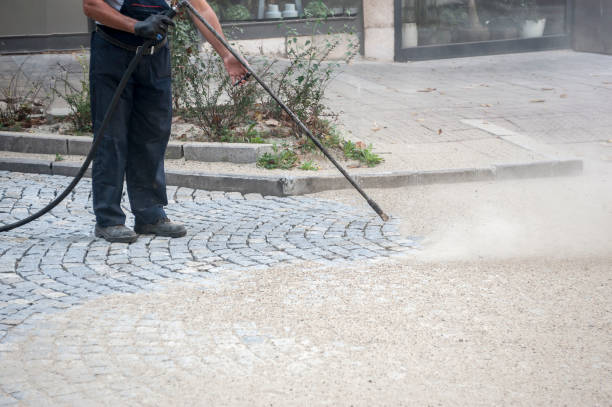 Best House Exterior Washing  in Roanoke, AL