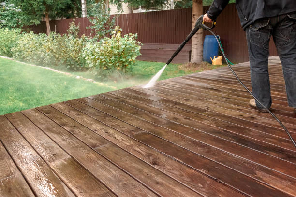 Best Patio and Deck Pressure Washing  in Roanoke, AL