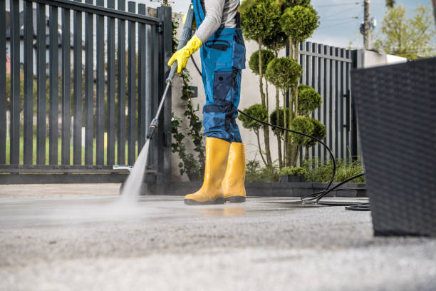 Best Gutter Cleaning  in Roanoke, AL