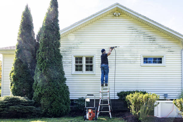 Best Dumpster Area Cleaning  in Roanoke, AL